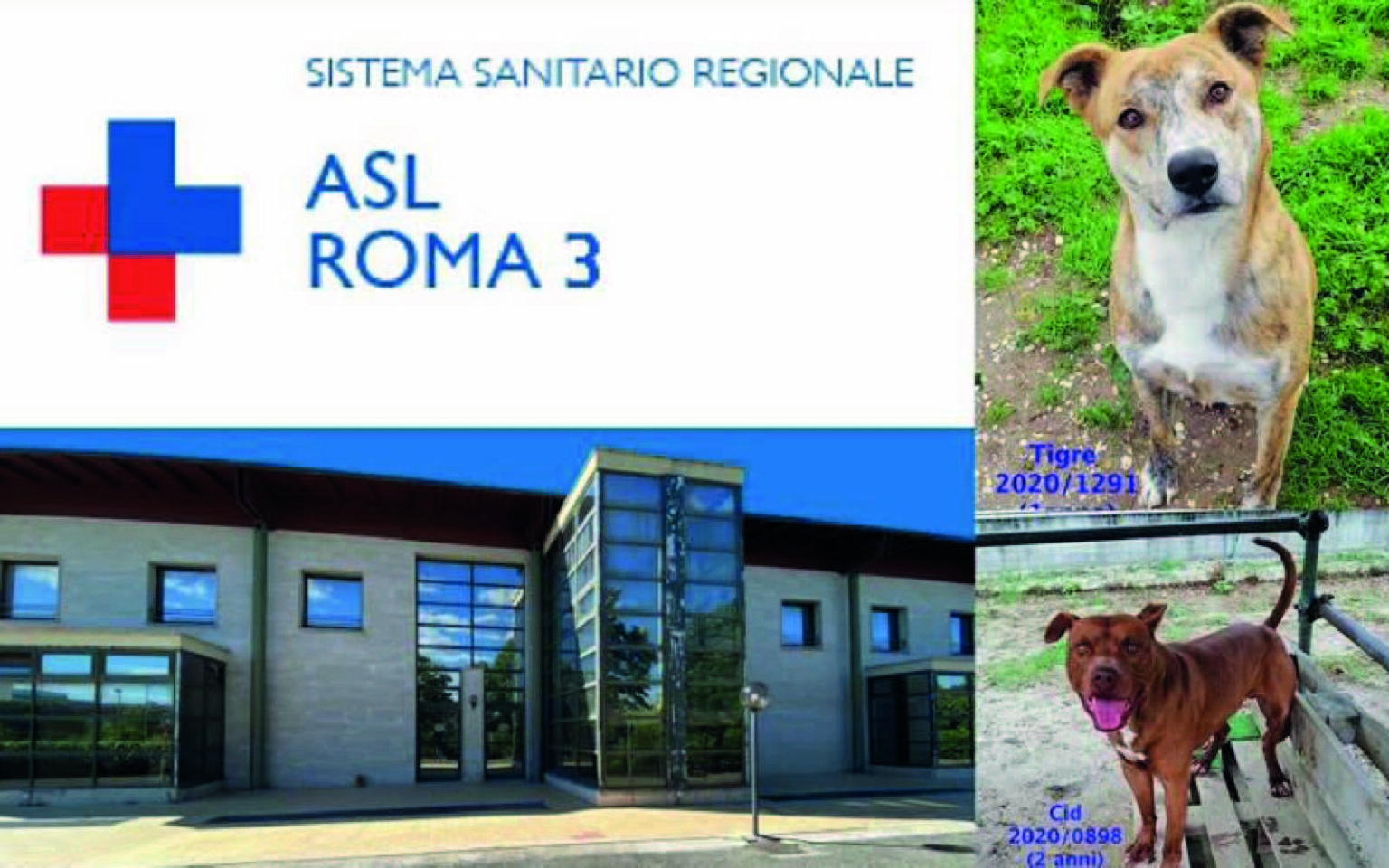 Canile Sovrazonale ASL ROMA 3 - Asl Roma 3